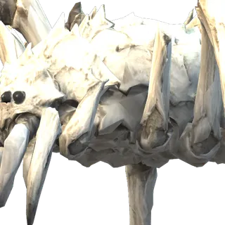 Portrait of the Bone Spider