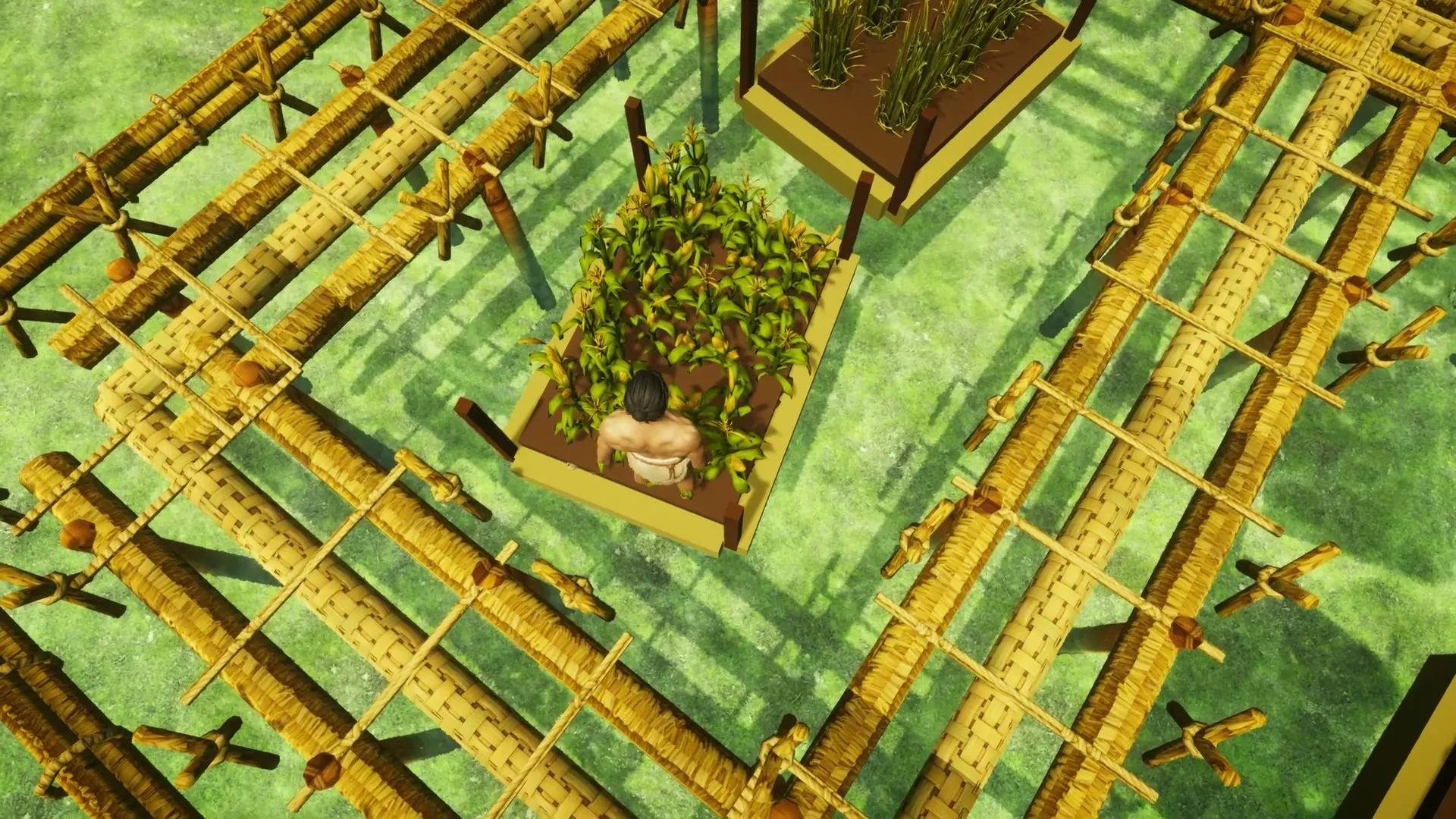 Harvesting a chinampa garden