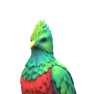 Portrait of the Quetzal